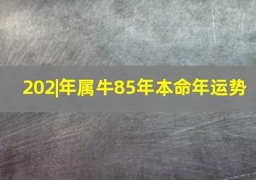 202|年属牛85年本命年运势